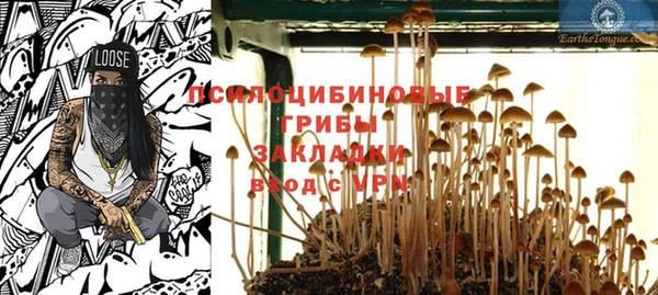 винт Нягань