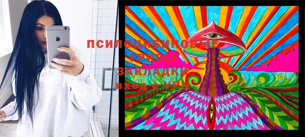 а пвп мука Няндома