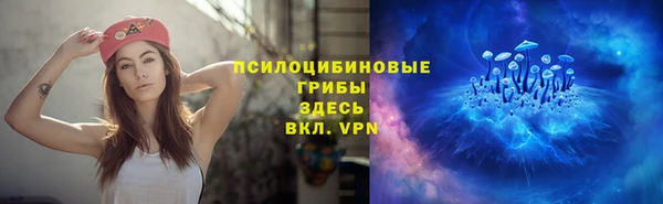 винт Нягань