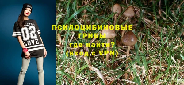 а пвп мука Няндома